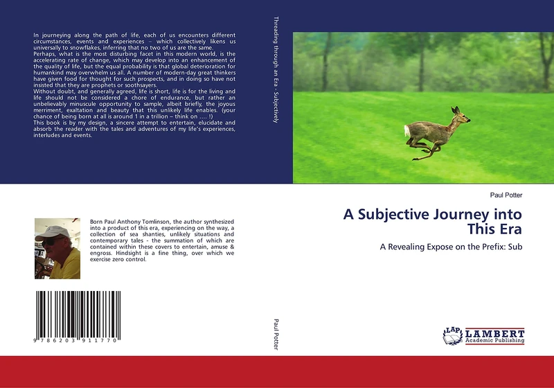 A Subjective Journey into This Era: A Revealing Expose on the Prefix: Sub