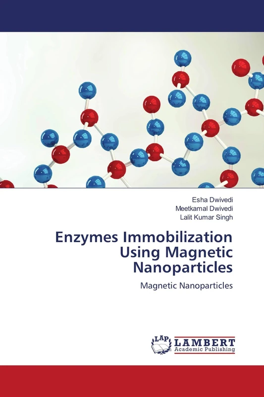 Enzymes Immobilization Using Magnetic Nanoparticles: Magnetic Nanoparticles - Image 1