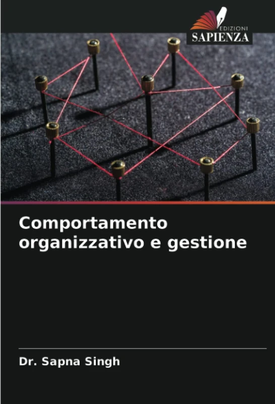 Comportamento organizzativo e gestione