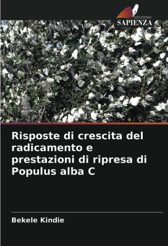 Risposte di crescita del radicamento e prestazioni di ripresa di Populus alba C - Image 1