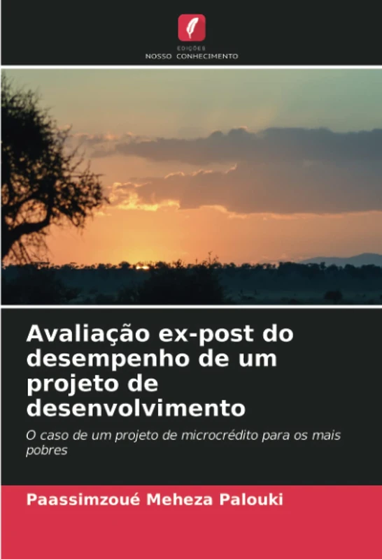 Avaliação ex-post do desempenho de um projeto de desenvolvimento: O caso de um projeto de microcrédito para os mais pobres - Image 1