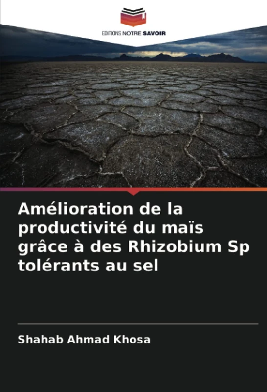 Amélioration de la productivité du maïs grâce à des Rhizobium Sp tolérants au sel