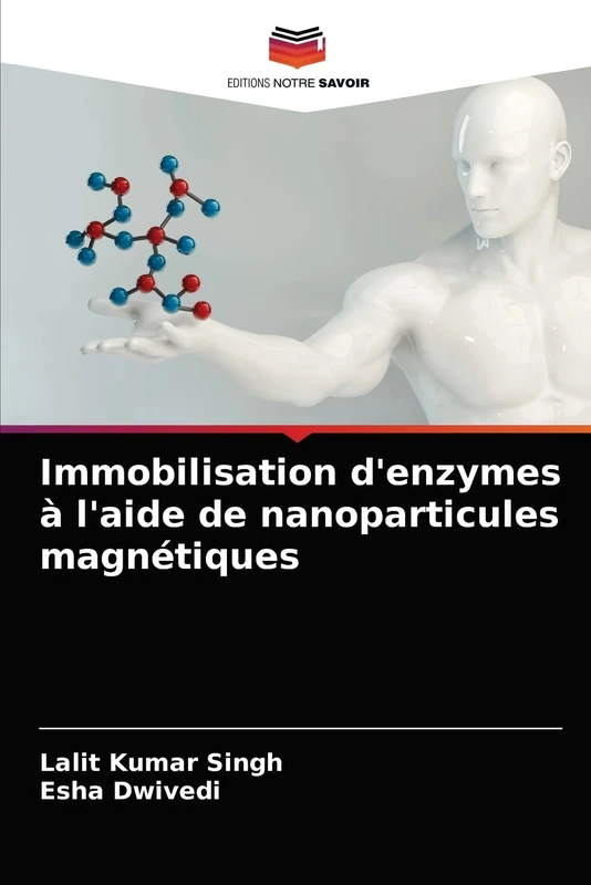 Immobilisation d'enzymes à l'aide de nanoparticules magnétiques - Image 1