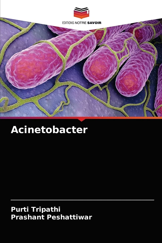 Acinetobacter - Image 1