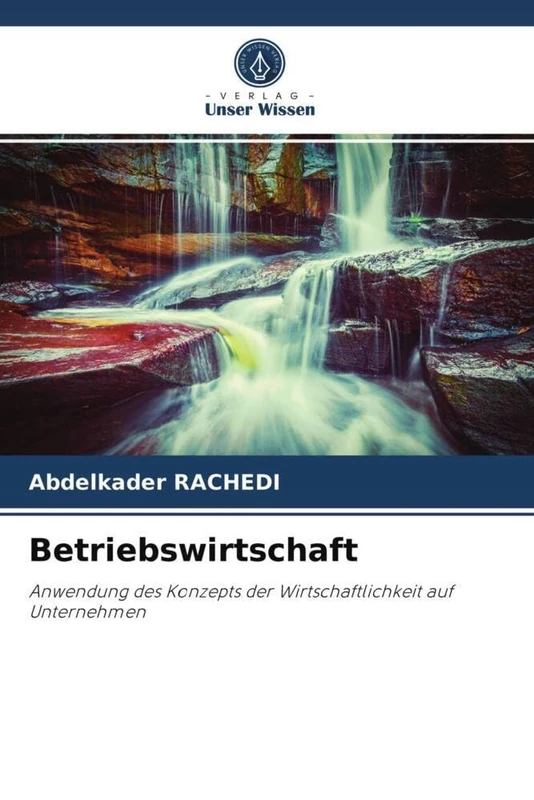 Betriebswirtschaft: Anwendung des Konzepts der Wirtschaftlichkeit auf Unternehmen