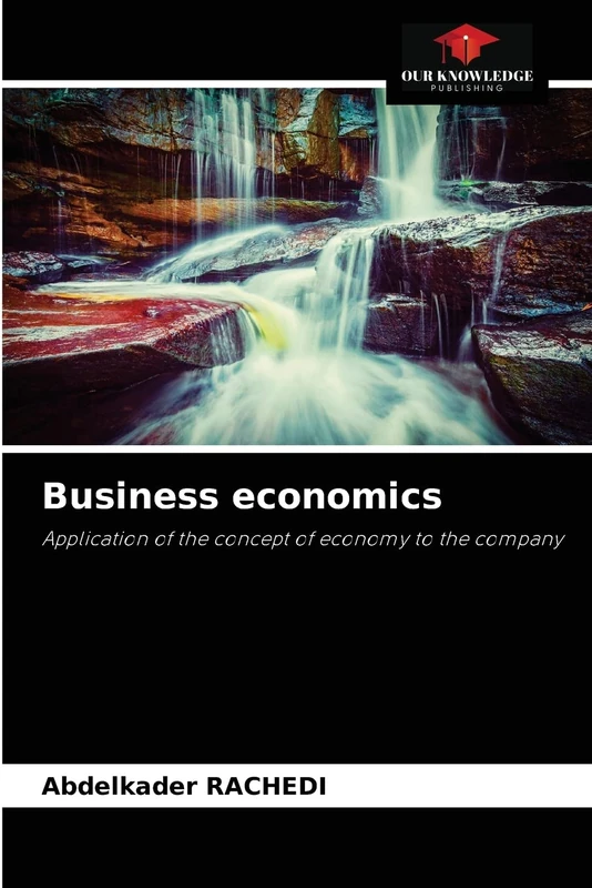 Business economics: Application of the concept of economy to the company
