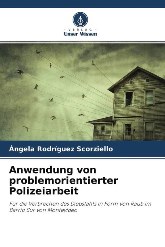 Anwendung von problemorientierter Polizeiarbeit: Für die Verbrechen des Diebstahls in Form von Raub im Barrio Sur von Montevideo - Image 1