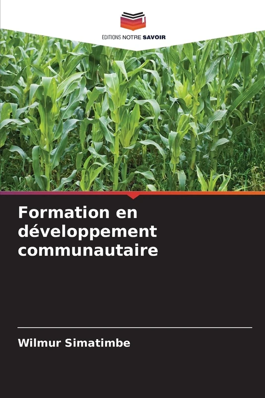 Formation en développement communautaire