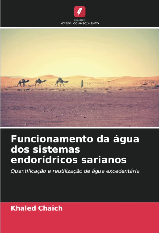 Funcionamento da água dos sistemas endorídricos sarianos: Quantificação e reutilização de água excedentária