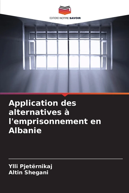 Application des alternatives à l'emprisonnement en Albanie - Image 1