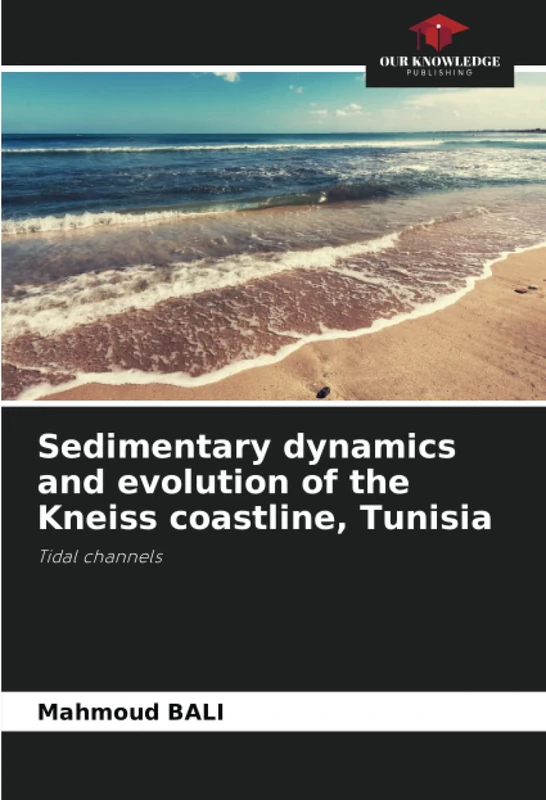 Sedimentary dynamics and evolution of the Kneiss coastline, Tunisia: Tidal channels