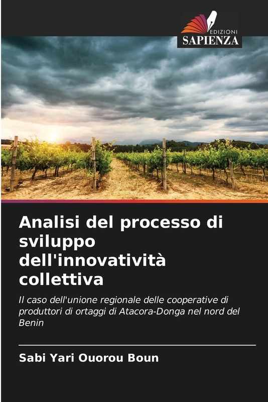 Analisi del processo di sviluppo dell'innovatività collettiva: Il caso dell'unione regionale delle cooperative di produttori di ortaggi di Atacora-Donga nel nord del Benin - Image 1