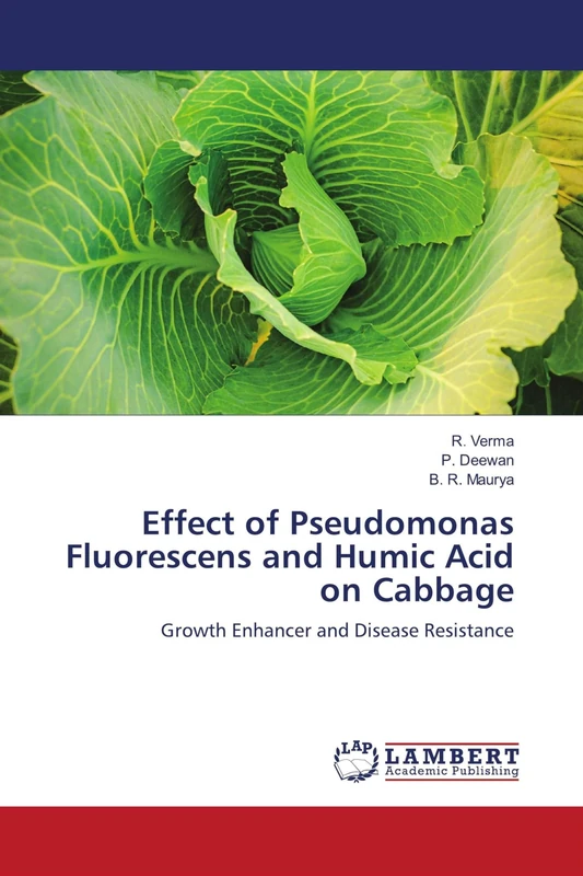 Effect of Pseudomonas Fluorescens and Humic Acid on Cabbage: Growth Enhancer and Disease Resistance