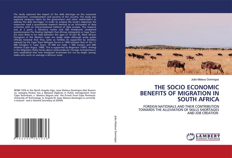 THE SOCIO ECONOMIC BENEFITS OF MIGRATION IN SOUTH AFRICA: FOREIGN NATIONALS AND THEIR CONTRIBUTION TOWARDS THE ALLEVIATION OF SKILLS SHORTAGES AND JOB CREATION - Image 1