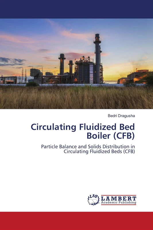 Circulating Fluidized Bed Boiler (CFB): Particle Balance and Solids Distribution in Circulating Fluidized Beds (CFB)