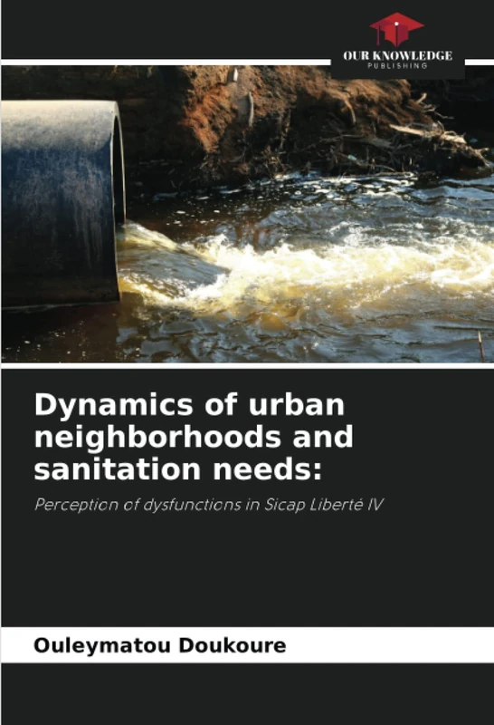 Dynamics of urban neighborhoods and sanitation needs:: Perception of dysfunctions in Sicap Liberté IV