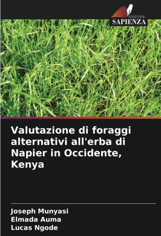 Valutazione di foraggi alternativi all'erba di Napier in Occidente, Kenya - Image 1