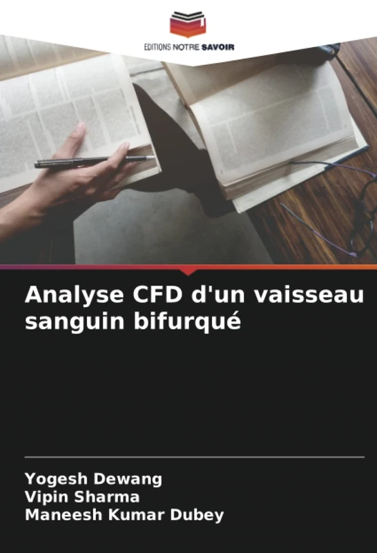 Analyse CFD d'un vaisseau sanguin bifurqué - Image 1