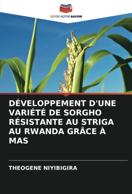 DÉVELOPPEMENT D'UNE VARIÉTÉ DE SORGHO RÉSISTANTE AU STRIGA AU RWANDA GRÂCE À MAS - Image 1