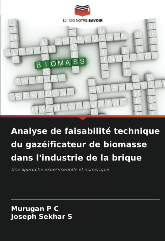 Analyse de faisabilité technique du gazéificateur de biomasse dans l'industrie de la brique: Une approche expérimentale et numérique