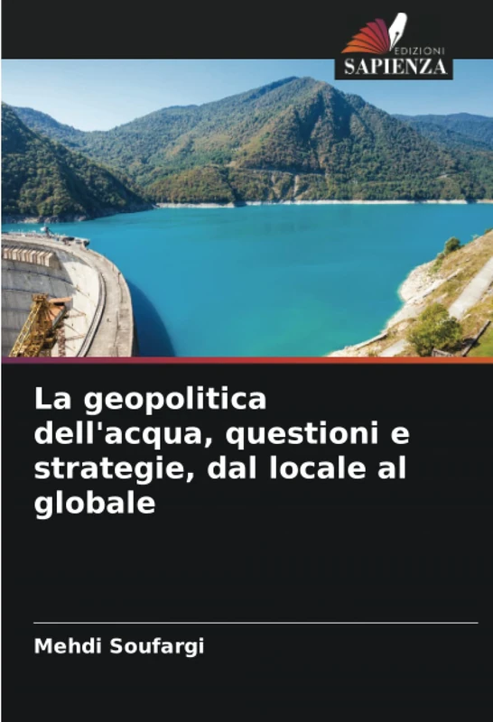 La geopolitica dell'acqua, questioni e strategie, dal locale al globale