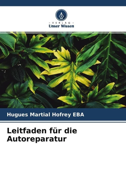 Leitfaden für die Autoreparatur - Image 1