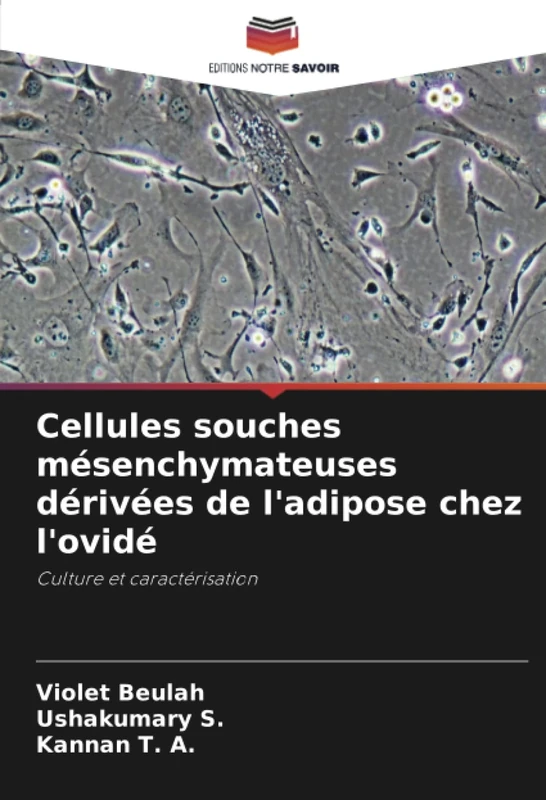 Cellules souches mésenchymateuses dérivées de l'adipose chez l'ovidé: Culture et caractérisation - Image 1