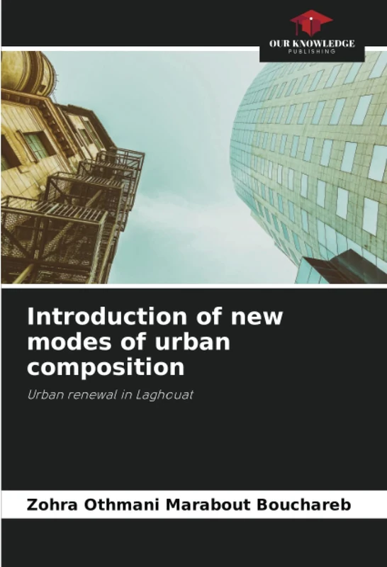 Introduction of new modes of urban composition: Urban renewal in Laghouat - Image 1