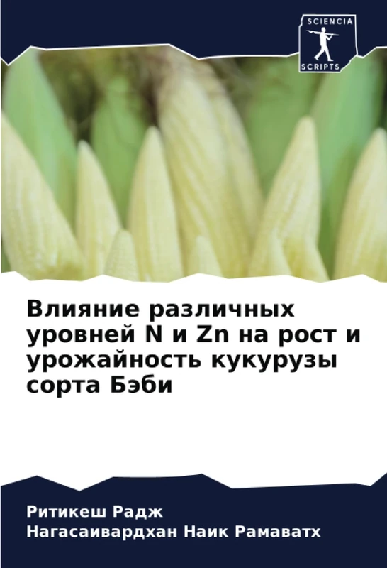 Влияние различных уровней N и Zn на рост и урожайность кукурузы сорта Бэби