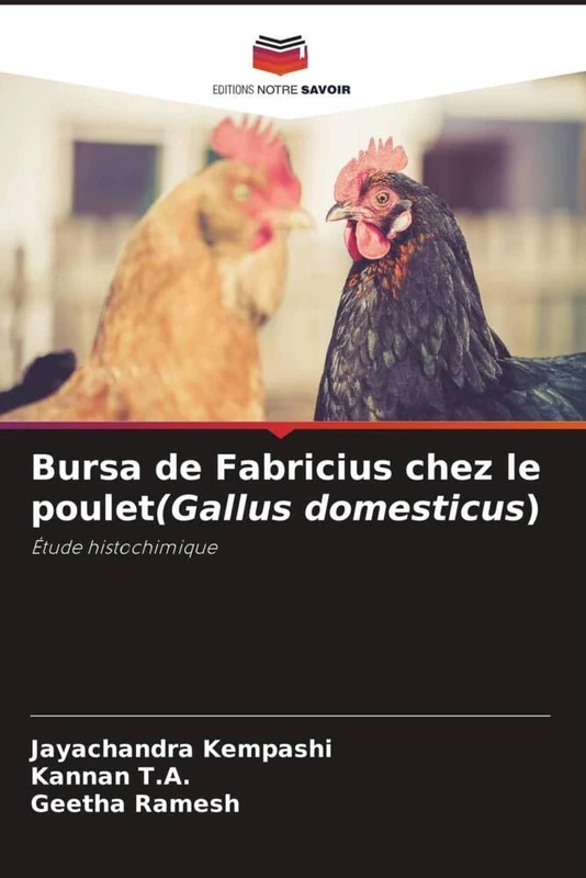 Bursa de Fabricius chez le poulet(Gallus domesticus): Étude histochimique - Image 1