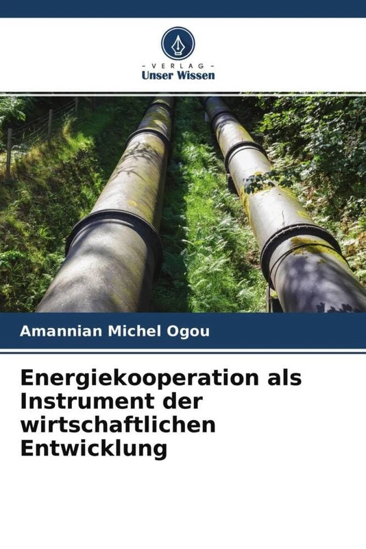 Energiekooperation als Instrument der wirtschaftlichen Entwicklung - Image 1