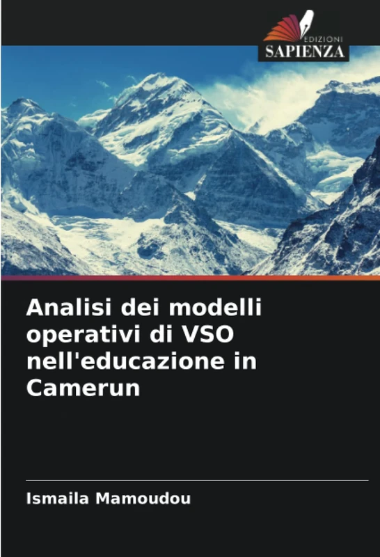 Analisi dei modelli operativi di VSO nell'educazione in Camerun