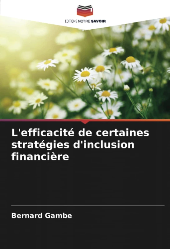 L'efficacité de certaines stratégies d'inclusion financière - Image 1
