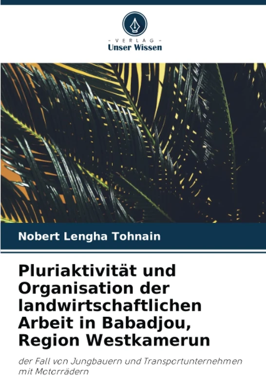 Pluriaktivität und Organisation der landwirtschaftlichen Arbeit in Babadjou, Region Westkamerun: der Fall von Jungbauern und Transportunternehmen mit Motorrädern - Image 1