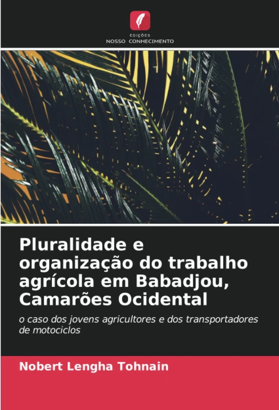 Pluralidade e organização do trabalho agrícola em Babadjou, Camarões Ocidental: o caso dos jovens agricultores e dos transportadores de motociclos - Image 1
