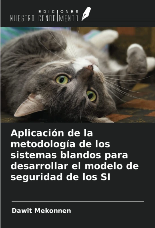 Aplicación de la metodología de los sistemas blandos para desarrollar el modelo de seguridad de los SI