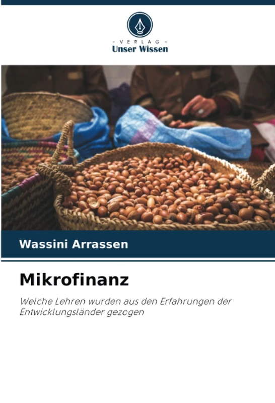Mikrofinanz: Welche Lehren wurden aus den Erfahrungen der Entwicklungsländer gezogen