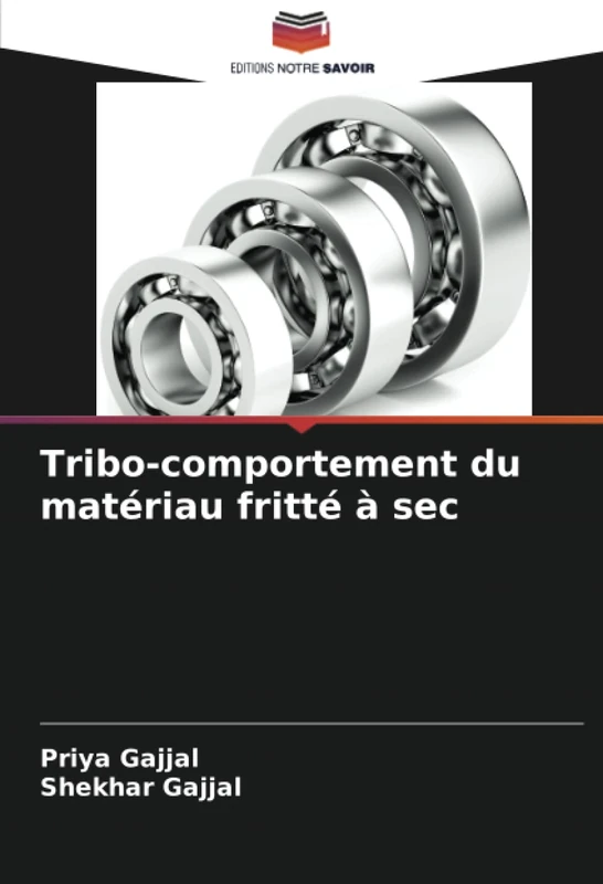 Tribo-comportement du matériau fritté à sec - Image 1