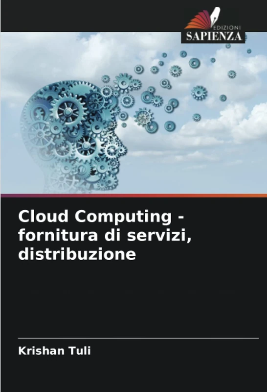 Cloud Computing - fornitura di servizi, distribuzione - Image 1