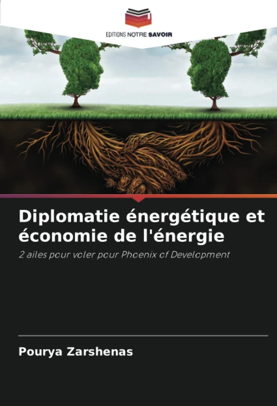 Diplomatie énergétique et économie de l'énergie: 2 ailes pour voler pour Phoenix of Development - Image 1