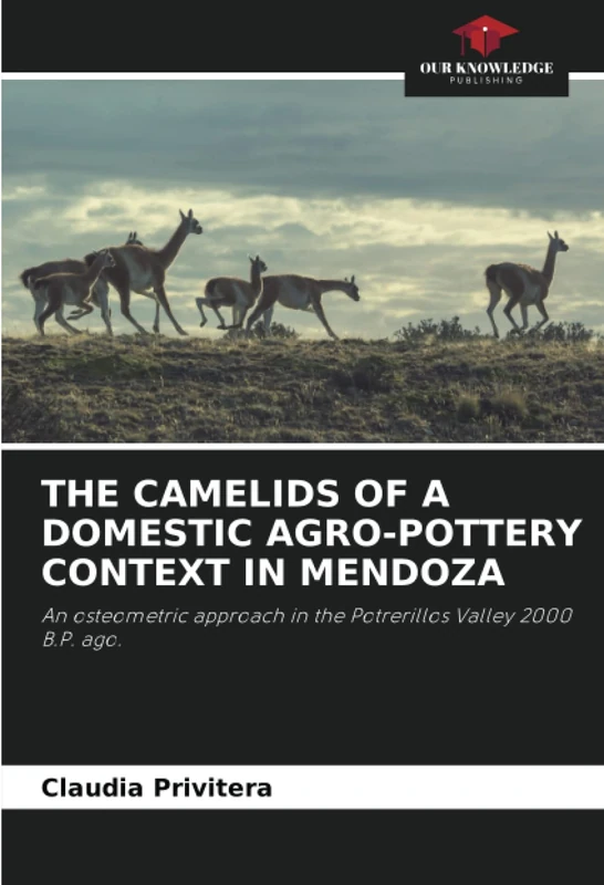 THE CAMELIDS OF A DOMESTIC AGRO-POTTERY CONTEXT IN MENDOZA: An osteometric approach in the Potrerillos Valley 2000 B.P. ago. - Image 1