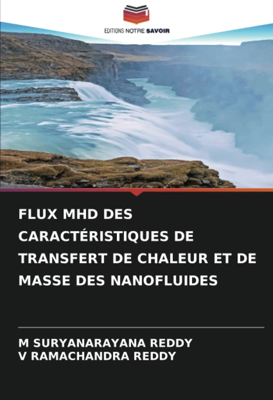 FLUX MHD DES CARACTÉRISTIQUES DE TRANSFERT DE CHALEUR ET DE MASSE DES NANOFLUIDES