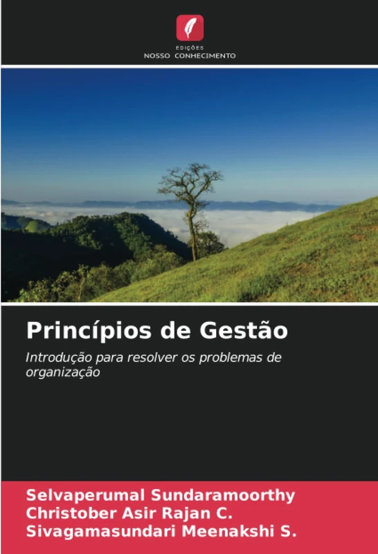 Princípios de Gestão: Introdução para resolver os problemas de organização