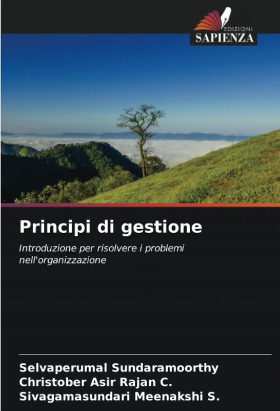 Principi di gestione: Introduzione per risolvere i problemi nell'organizzazione