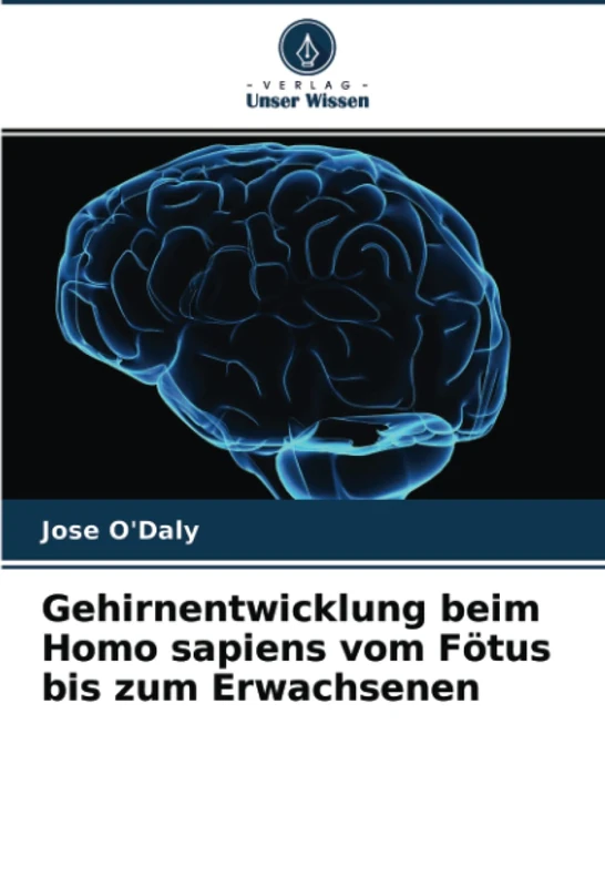 Gehirnentwicklung beim Homo sapiens vom Fötus bis zum Erwachsenen