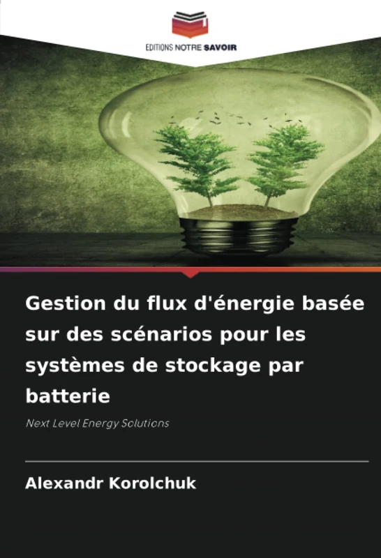 Gestion du flux d'énergie basée sur des scénarios pour les systèmes de stockage par batterie: Next Level Energy Solutions