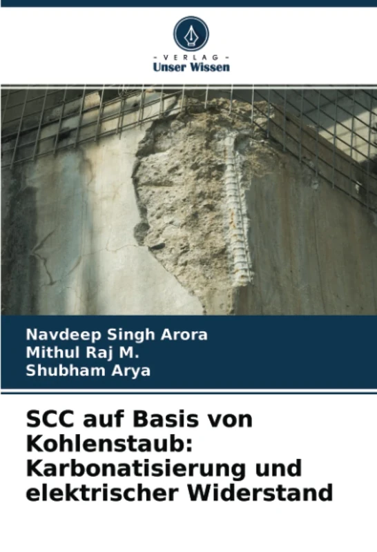 SCC auf Basis von Kohlenstaub: Karbonatisierung und elektrischer Widerstand - Image 1