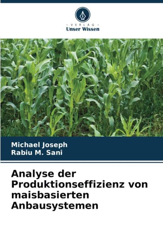 Analyse der Produktionseffizienz von maisbasierten Anbausystemen