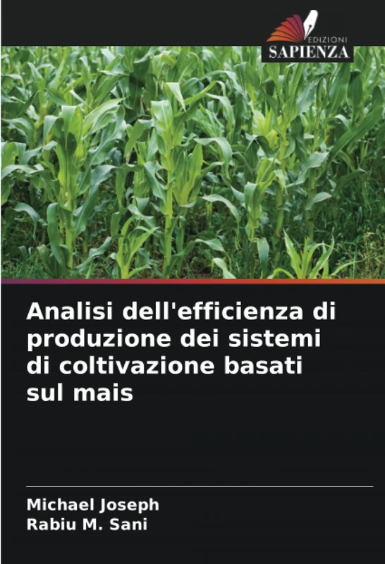 Analisi dell'efficienza di produzione dei sistemi di coltivazione basati sul mais