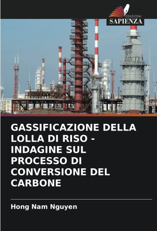 GASSIFICAZIONE DELLA LOLLA DI RISO - INDAGINE SUL PROCESSO DI CONVERSIONE DEL CARBONE